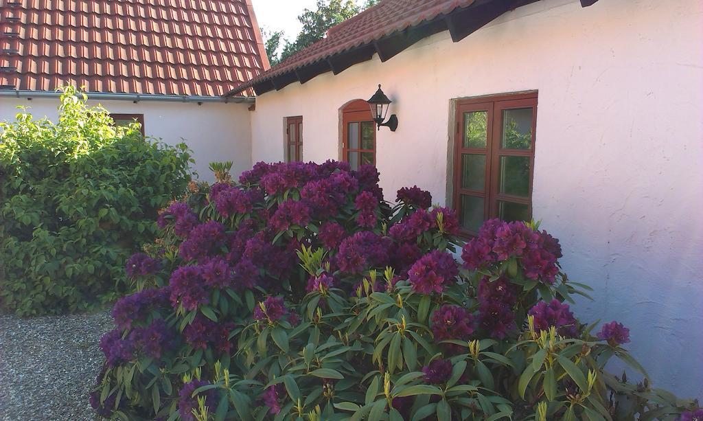 Vranum Guesthouse Viborg Buitenkant foto