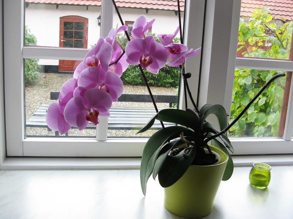 Vranum Guesthouse Viborg Buitenkant foto