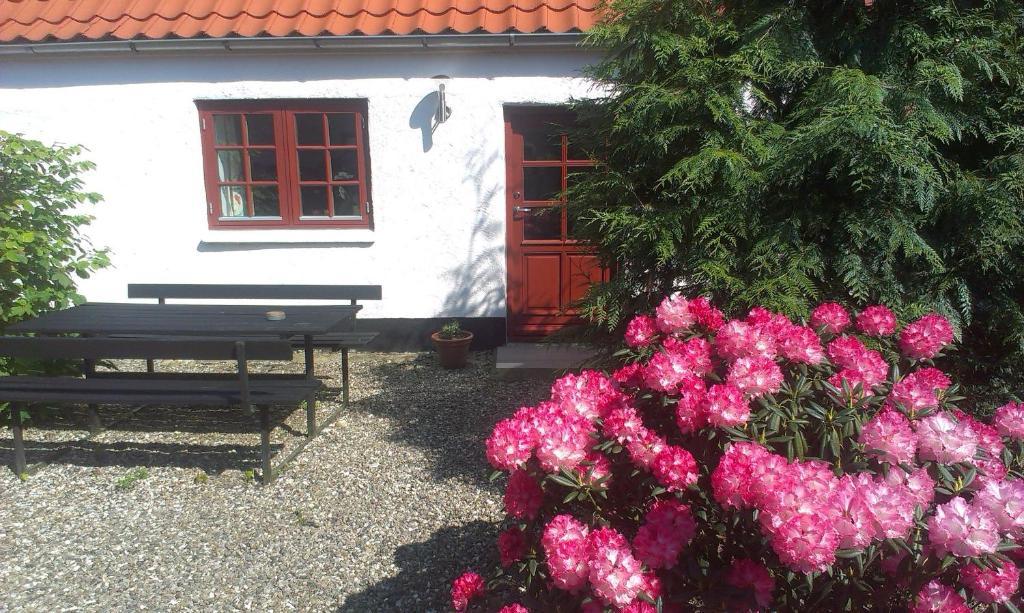 Vranum Guesthouse Viborg Buitenkant foto