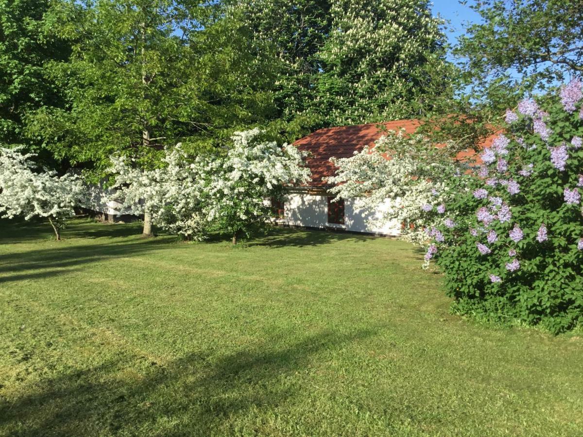Vranum Guesthouse Viborg Buitenkant foto